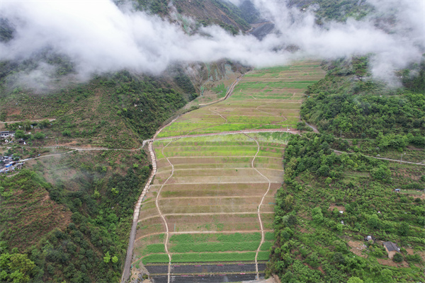 修复后.jpg